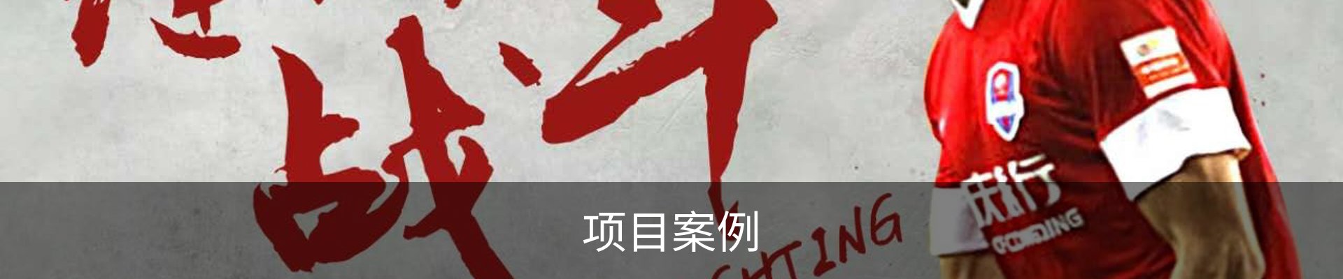项目案例